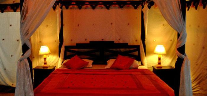 The Mama's Resort & Camp